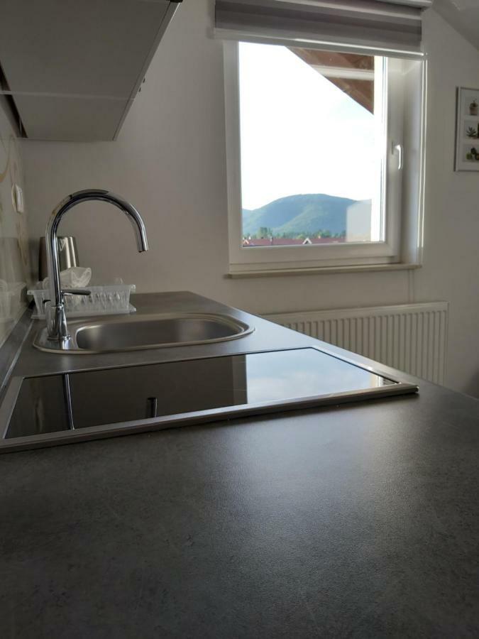 Apartmani Brigita Korenica Exteriör bild